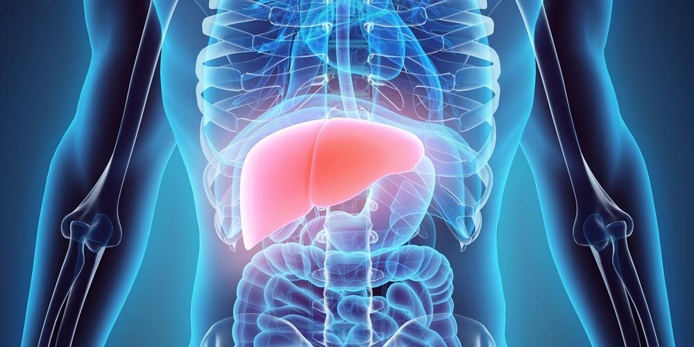 Ήπαρ: Αυτά είναι τα τρόφιμα που το ωφελούν