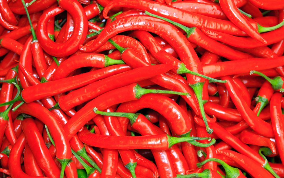 Εσύ θα την έτρωγες; – Αυτή είναι η πιο καυτερή πιπεριά τσίλι στον κόσμο (φωτο)