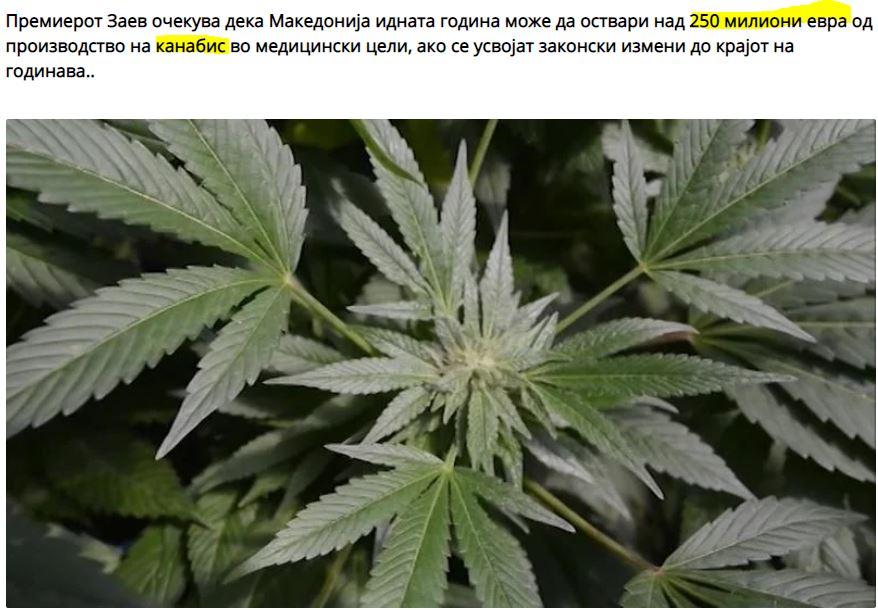 Το «όραμα» του Ζόραν Ζάεφ: «Η μαριχουάνα θα μας δώσει 250 εκατομμύρια ευρώ»