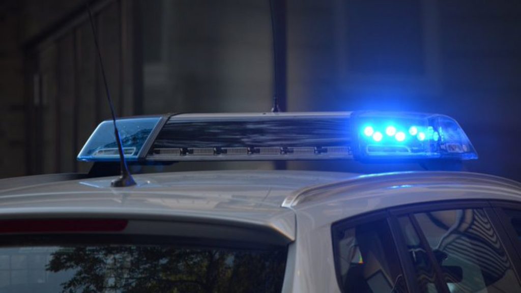 Βοιωτία: Χειροπέδες σε 4 άτομα που καλλιεργούσαν και διακινούσαν κάνναβη σε ολόκληρη τη χώρα (φώτο-βίντεο)