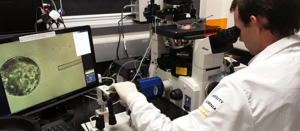 Οι κορυφαίες επιστημονικές ανακαλύψεις που έγιναν… καταλάθος