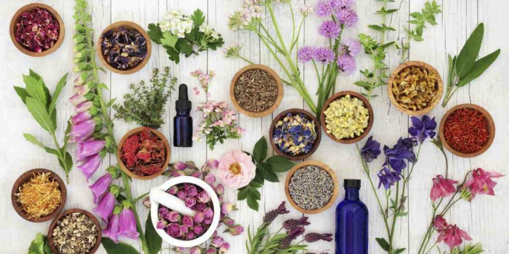 Βότανα: Ποια θα βοηθήσουν να αδυνατίσεις και ποια να χαλαρώσεις;