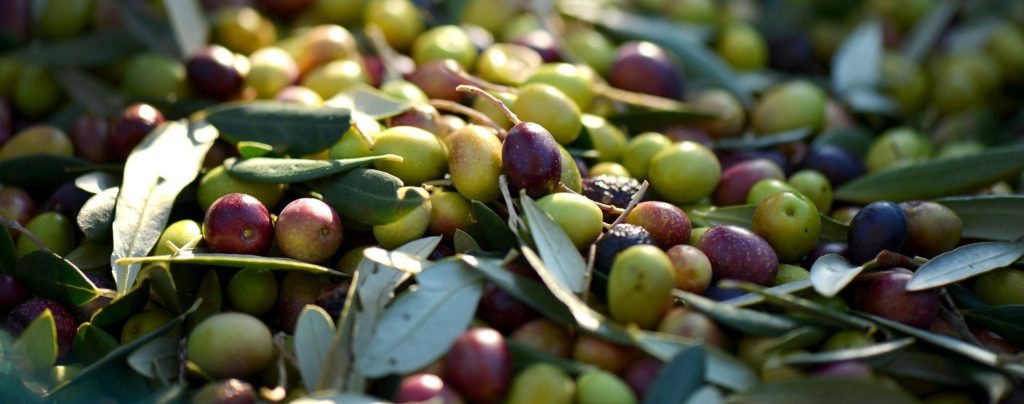 Μαθητές από τη Λέσβο έστειλαν γράμμα στον δήμαρχο με αιτήματα που δεν μπορούν να περιμένουν τον Άγιο Βασίλη
