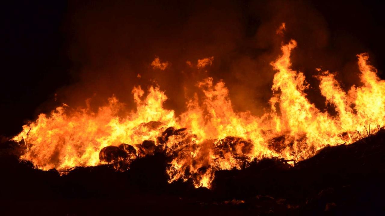 Κόρινθος: Φωτιά σε καλαμιές στη λίμνη Στυμφαλία