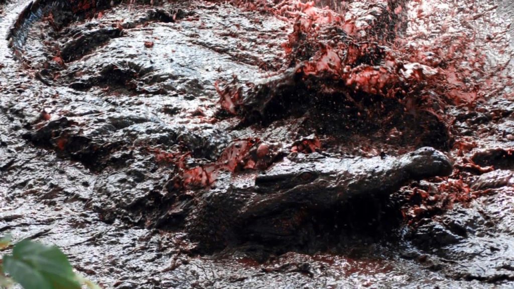 Το μακελειό του νησιού Ραμρί: Η νύχτα που κροκόδειλοι έφαγαν περίπου 1.000 Ιάπωνες στρατιώτες (βίντεο)