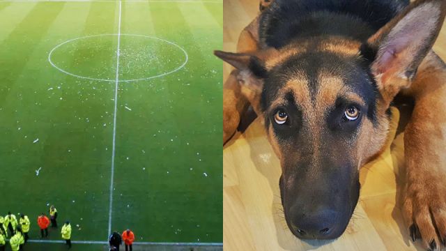 Αγγλία: Διακόπηκε αγώνας λόγω… απειλής σκύλου