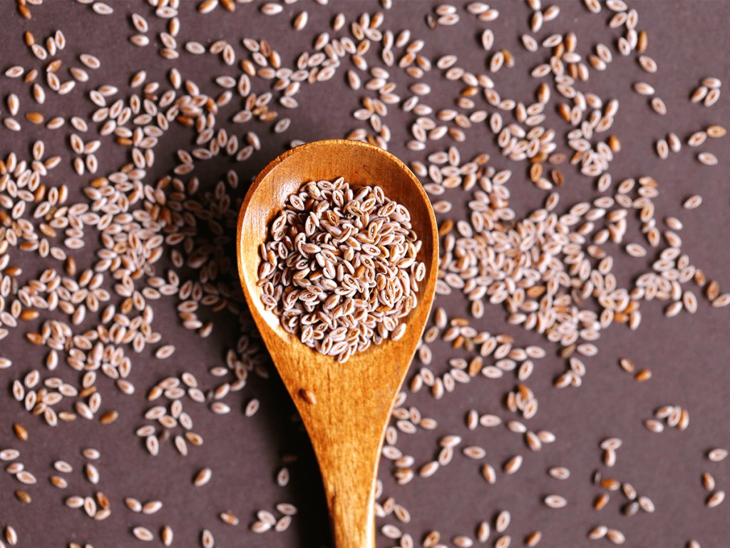 Ψύλλιο: Τι ακριβώς είναι – Όλα όσα πρέπει να γνωρίζεις