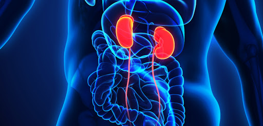 Νεφρική ανεπάρκεια: Τα επικίνδυνα σημάδια που πρέπει να προσέχετε