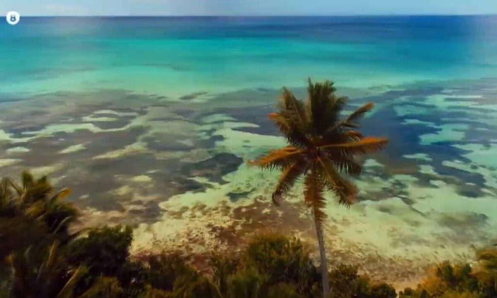 Έπεσαν τα πρώτα «καρφιά» στο Survivor: «Δεν κάνει τίποτα όλη μέρα κοιμάται» (βίντεο)