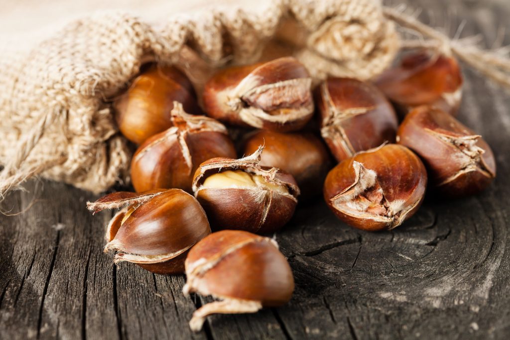 Κάστανα: Αυτά είναι τα οφέλη που προσφέρουν στον οργανισμό