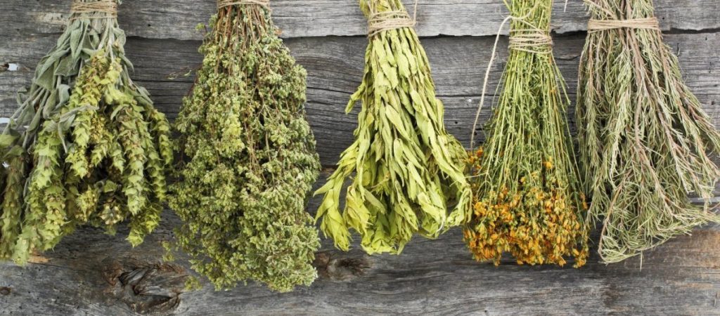 Το καλύτερο βότανο για την προστασία και αποτοξίνωση του ήπατος