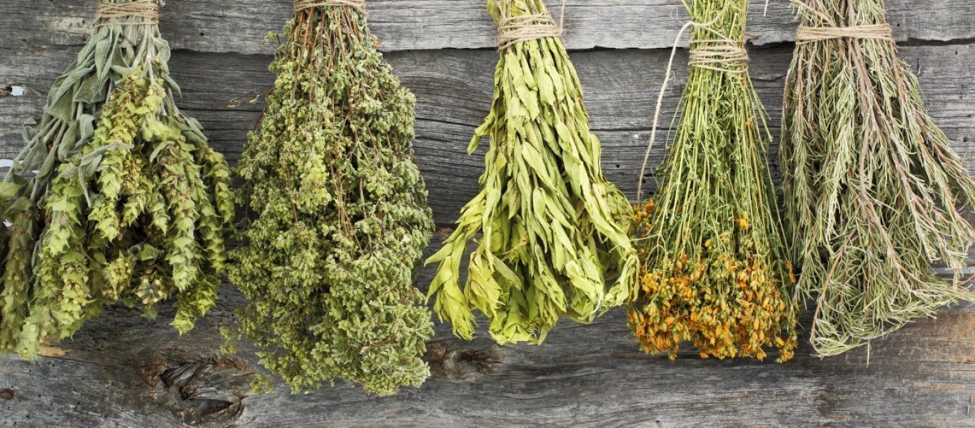 Το καλύτερο βότανο για την προστασία και αποτοξίνωση του ήπατος