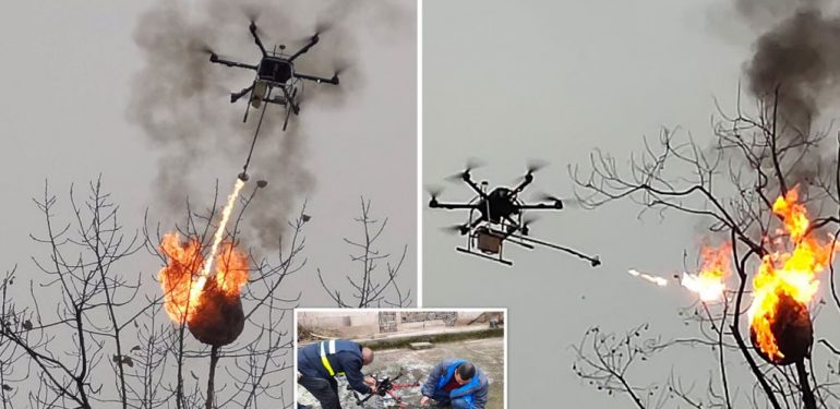 Δείτε τι έκανε το drone… φλογοβόλο στις επικίδυνες σφήκες (βίντεο)