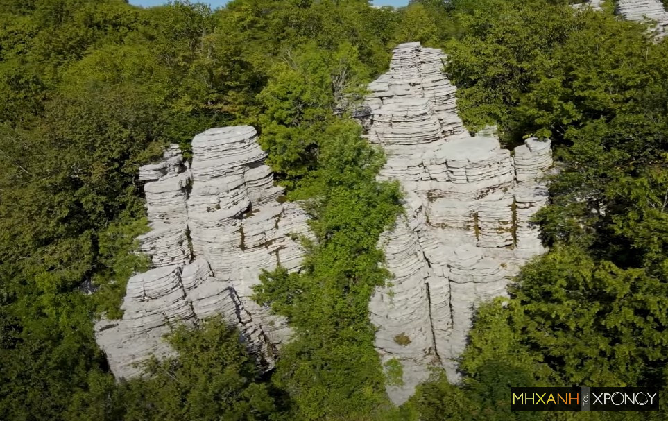 Πέτρινο Δάσος: Το εκπληκτικό και σπάνιο αξιοθέατο της Ηπείρου (βίντεο)