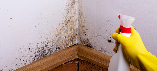 Δέκα σημάδια ότι υπάρχει επικίνδυνη μούχλα στο σπίτι σας και βλάπτει την υγεία σας