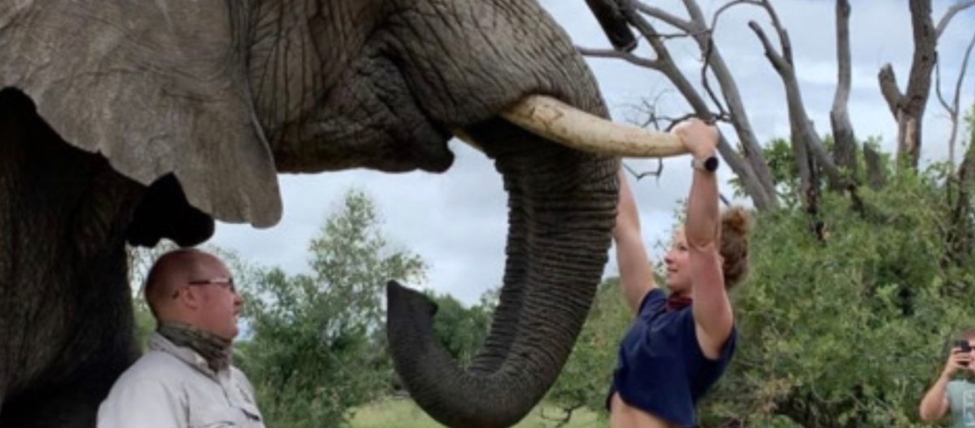Νότια Αφρική: Έντονες αντιδράσεις για την γυμνάστρια που κάνει ασκήσεις κρεμασμένη από χαυλιόδοντες ελέφαντα