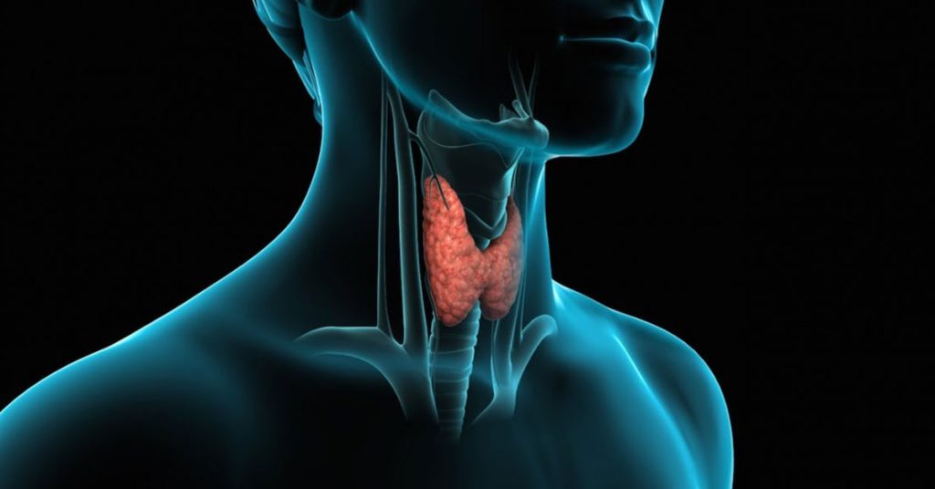 Θυρεοειδής: Δείτε ποιες τροφές τον βλάπτουν και ποιες όχι