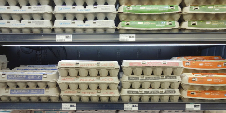 Αυτό το ήξερες; – Γιατί στις ΗΠΑ βάζουν τα αυγά στο ψυγείο;