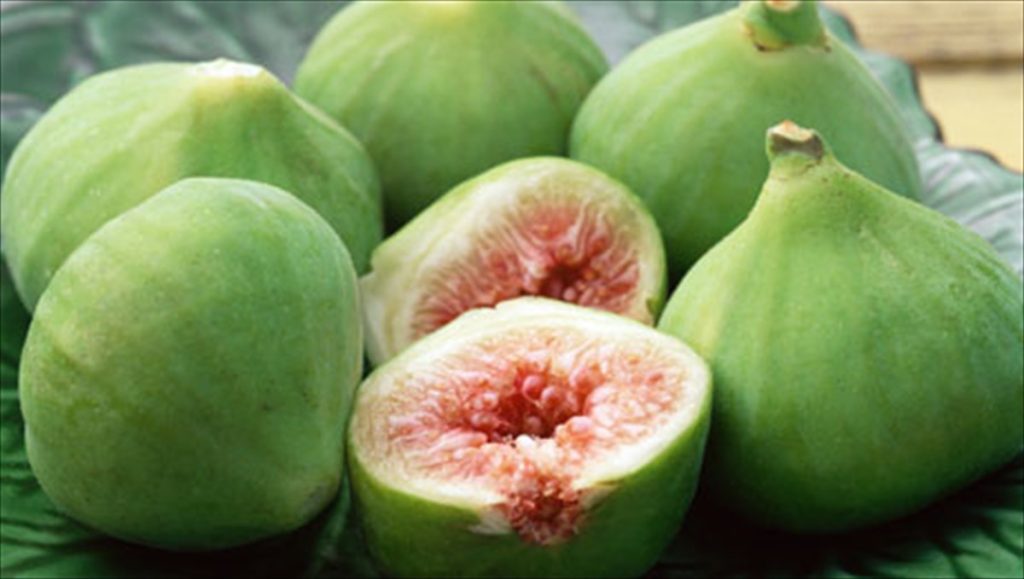 Στο Ναύπλιο βγήκαν σύκα Γενάρη μήνα! (φώτο)