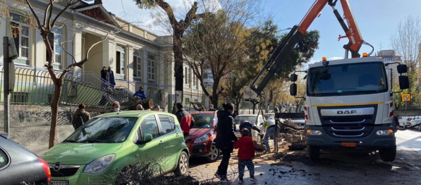 Θεσσαλονίκη: Δέντρο έπεσε στην αυλή δημοτικού σχολείου – Από θαύμα δεν χτύπησε κανείς (φώτο)