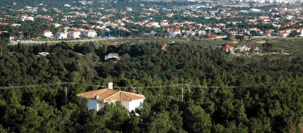 Ξεκινά η σταδιακή ανάρτηση των αναθεωρημένων δασικών χαρτών