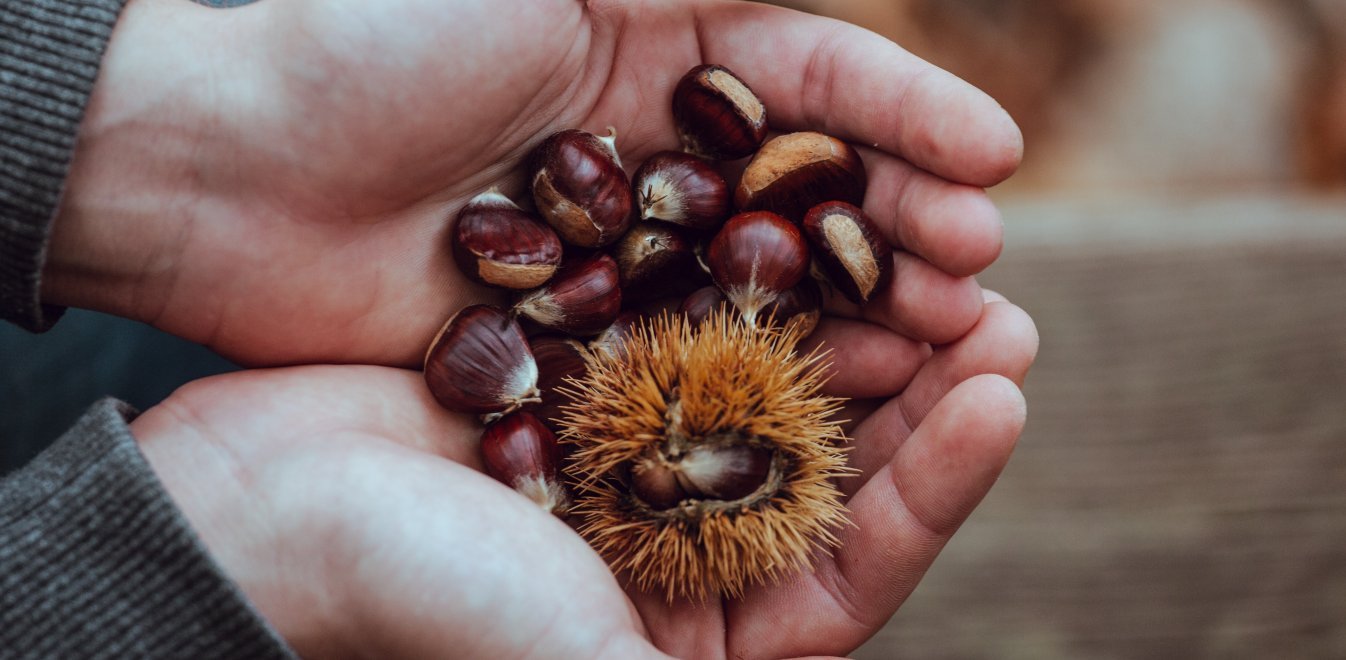 Αυτά είναι τα οφέλη που έχουν τα κάστανα – Γιατί διαφέρουν από τους άλλους ξηρούς καρπούς
