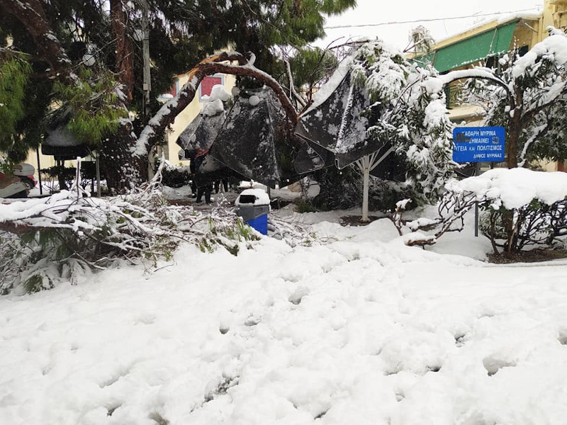 «Ντύθηκε» στα λευκά η Λήμνος – Χιόνια μέχρι και στη θάλασσα (φώτο-βίντεο)