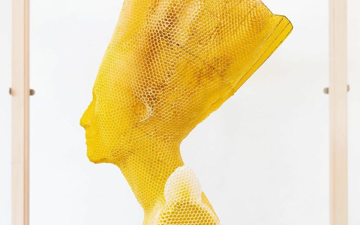 Ολλανδία: Άνδρας έφτιαξε προτομή της Νεφερτίτης με… 60.000 μέλισσες (βίντεο)