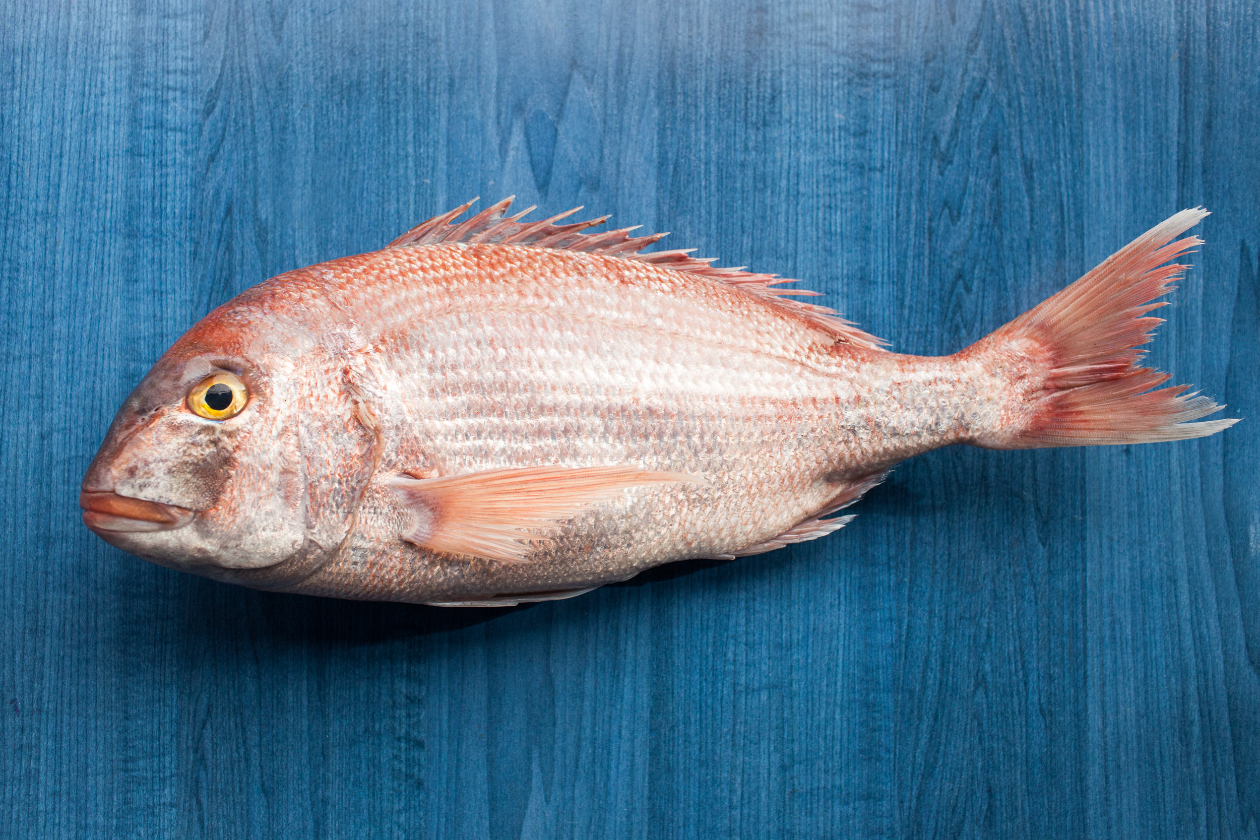 Τελικά πόσο ψάρι πρέπει να καταναλώνουμε για μια υγιή καρδιά;