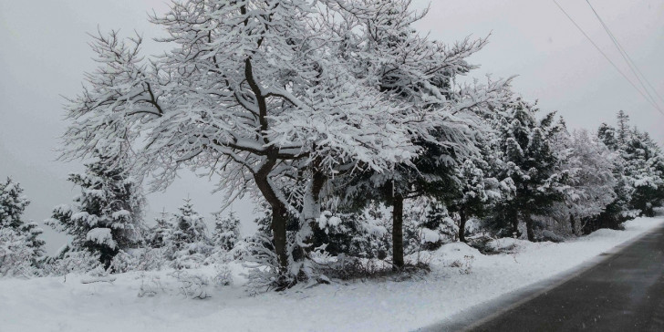 Κακοκαιρία «Λέανδρος»: Επιδεινώνεται ο καιρός από σήμερα το βράδυ (φωτο)