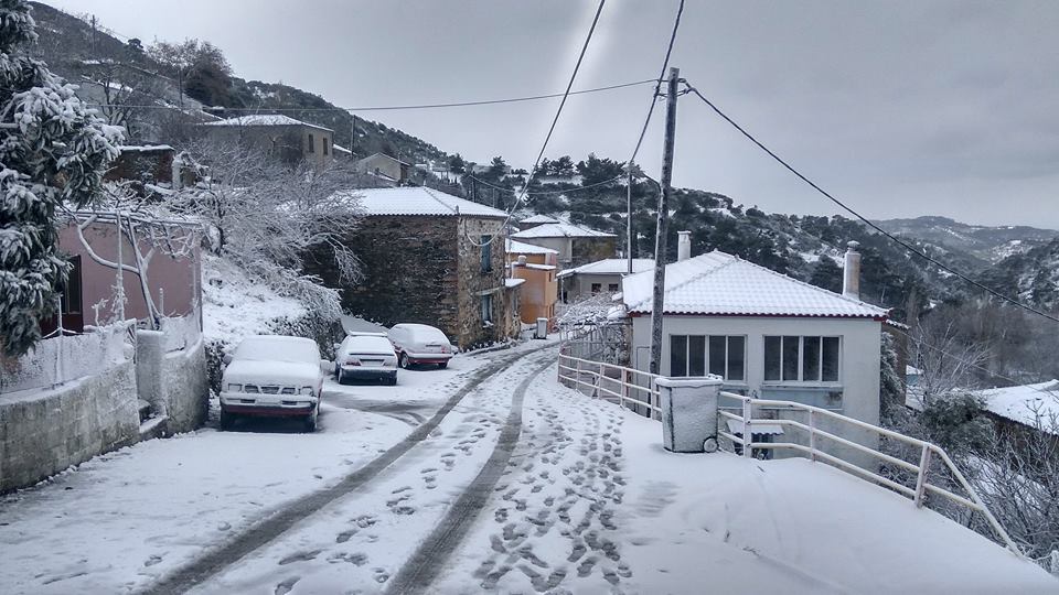 Προβλήματα από την κακοκαιρία στη Μυτιλήνη – Που είναι κλειστοί οι δρόμοι