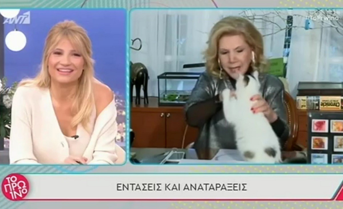 Ξεκαρδιστικό: Η Λίτσα Πατέρα δέχθηκε επίθεση από… γάτο στον αέρα (βίντεο)