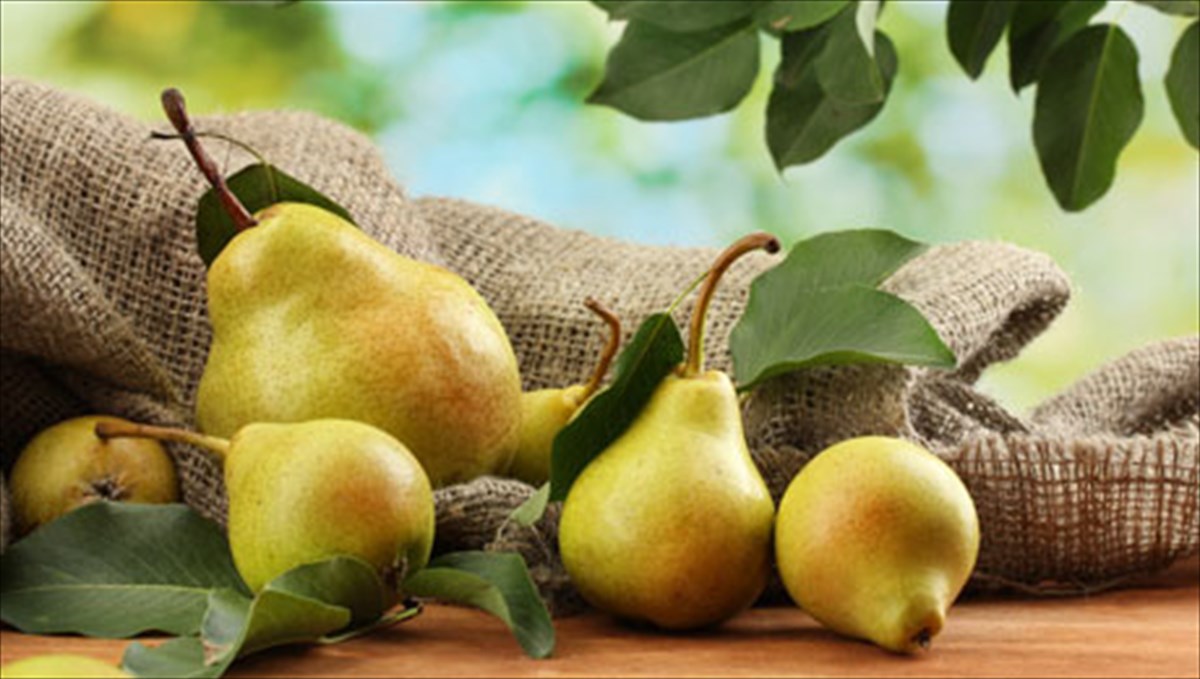 Αχλάδι: Τo φρούτo που συμβάλλει θετικά στην υγεία μας