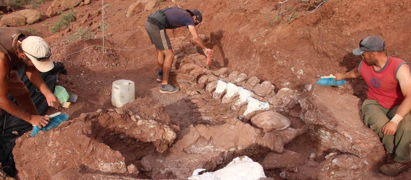 Αργεντινή: Ανακαλύφθηκε ένας από τους μεγαλύτερους δεινοσαύρους στην ιστορία (βίντεο)