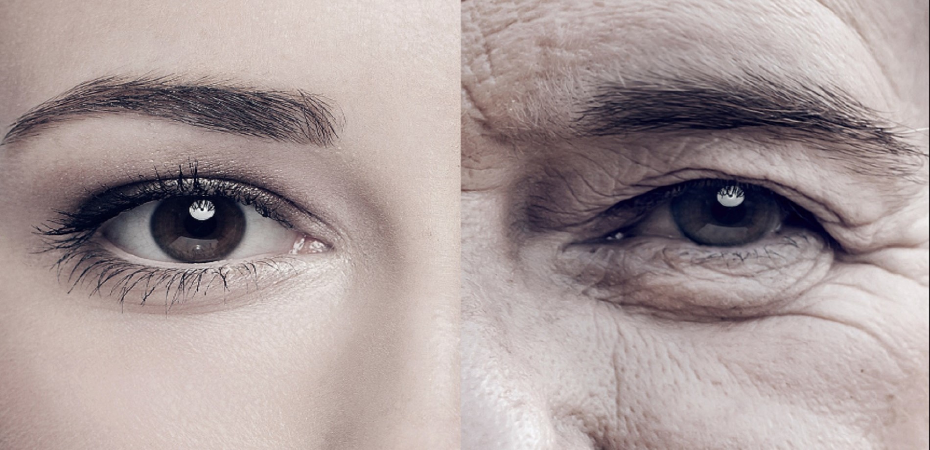 Ισραηλινοί επιστήμονες υποστηρίζουν ότι σταμάτησαν την διαδικασία της γήρανσης