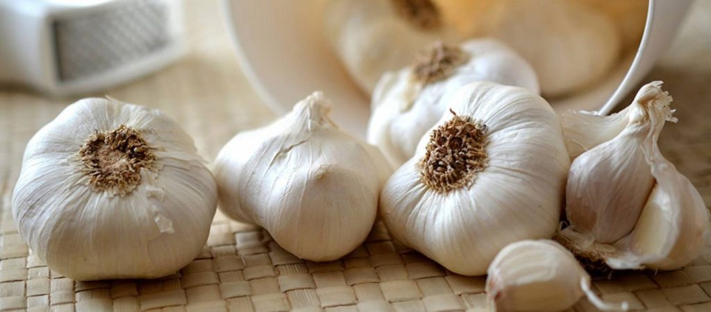 Σκόρδο: Αυτά είναι τα τέσσερα οφέλη που έχει για την υγεία