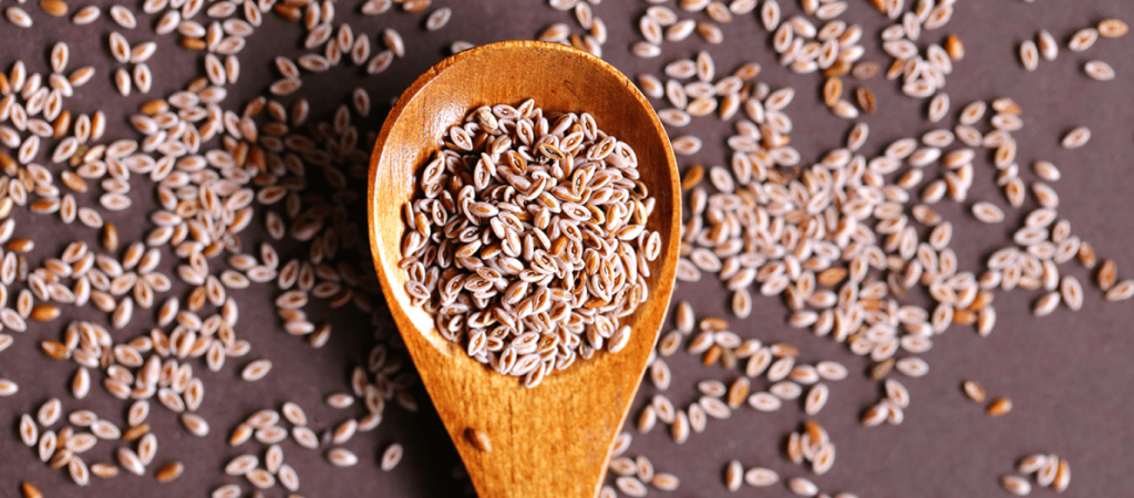 Ψύλλιο: Τι ακριβώς είναι – Όλα όσα πρέπει να γνωρίζεις