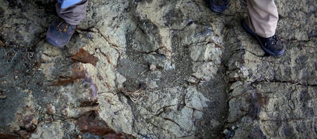 Ουαλία: 4χρονο κοριτσάκι βρήκε πατημασιά δεινόσαυρου 220 εκατ. ετών (φωτό)