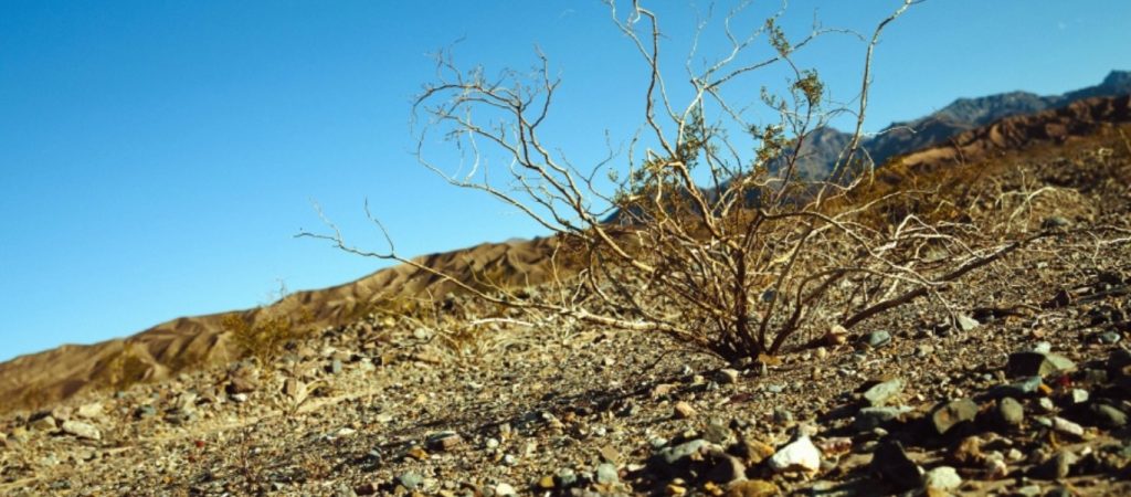 Βρετανική έρευνα: Η οικονομική ανάπτυξη του πλανήτη βάζει σε κίνδυνο το περιβάλλον