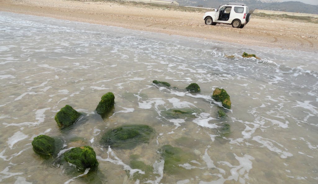 Το γνώριζες; – Ο άνθρωπος επεξεργάζεται τις ελιές εδώ και 6.500 χρόνια (φώτο)
