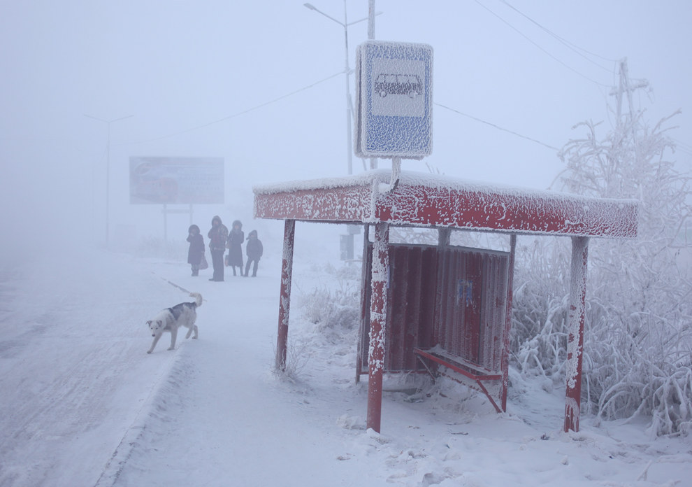 Σκύλος απεγκλωβίστηκε από τον πάγο στους -54 βαθμούς Κελσίου στην ρωσική Γιακουτία (βίντεο)