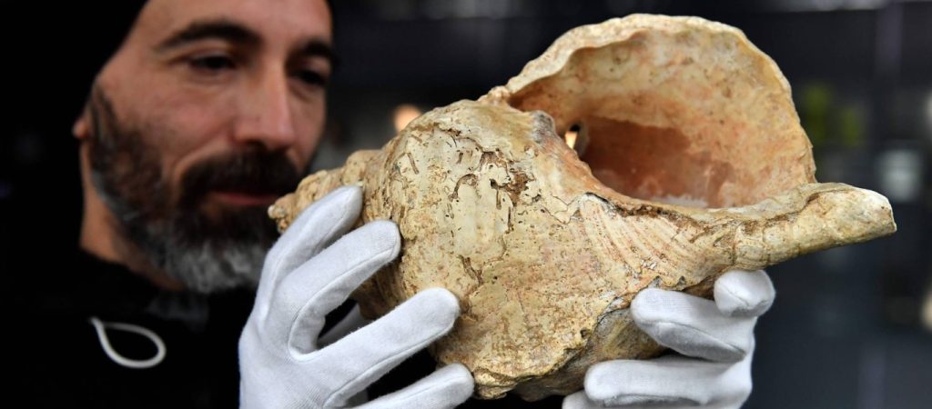 Κοχύλι έβγαλε ήχους από το προϊστορικό παρελθόν για πρώτη φορά εδώ και 18.000 χρόνια (βίντεο)