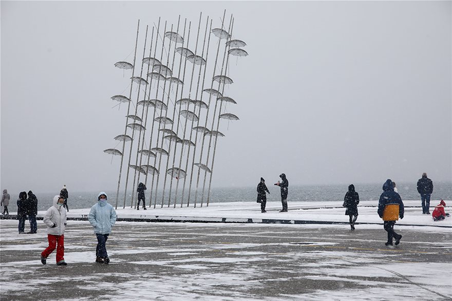 Η «Μήδεια» δεν κατάφερε να κρατήσει στα σπίτια τους τους ερωτευμένους – Κατέκλυσαν τα ανθοπωλεία και τα ζαχαροπλαστεία