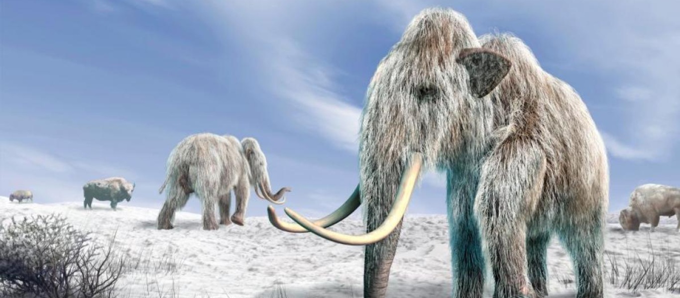Σιβηρία: Επιστήμονες ανακάλυψαν το αρχαιότερο DNA στα απομεινάρια δύο μαμούθ