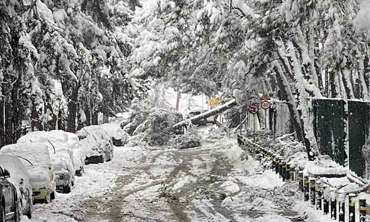 Ο Δήμος Αγίας Παρασκευής έστειλε εξώδικο στον ΔΕΔΔΗΕ για τα προβλήματα της κακοκαιρίας