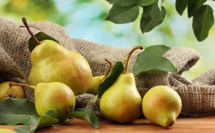 «Τo δώρο των Θεών»! – Το πάμφθηνο φρούτο που μας προστατεύει από 6 ασθένειες!