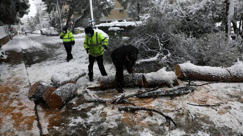Περίπου 700 σπίτια παραμένουν χωρίς ρεύμα στην Αττική – Πότε θα αποκατασταθούν