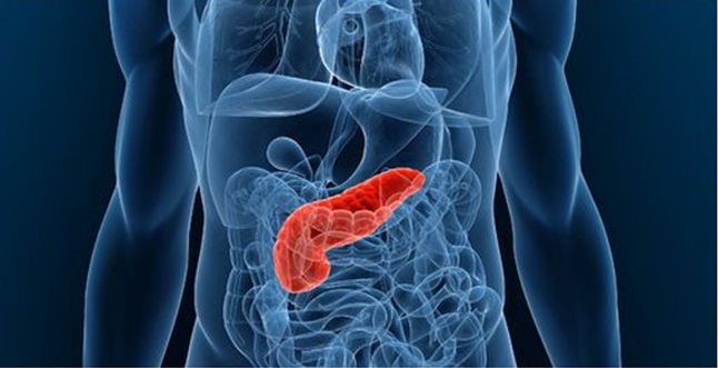 Πάγκρεας: Με αυτές τις τροφές θα το αποτοξινώσετε
