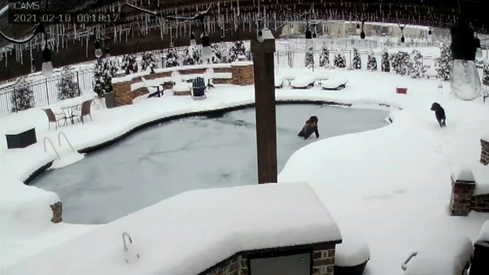 Γυναίκα έπεσε σε παγωμένη πισίνα για να σώσει τον σκύλο της που χάθηκε στον πάγο (βίντεο)