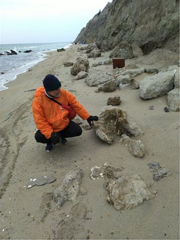 Θεσσαλονίκη: Βρήκαν απολίθωμα Τιτανοχελώνας  – Χρονολογείται πριν από 2-5 εκατομμύρια έτη